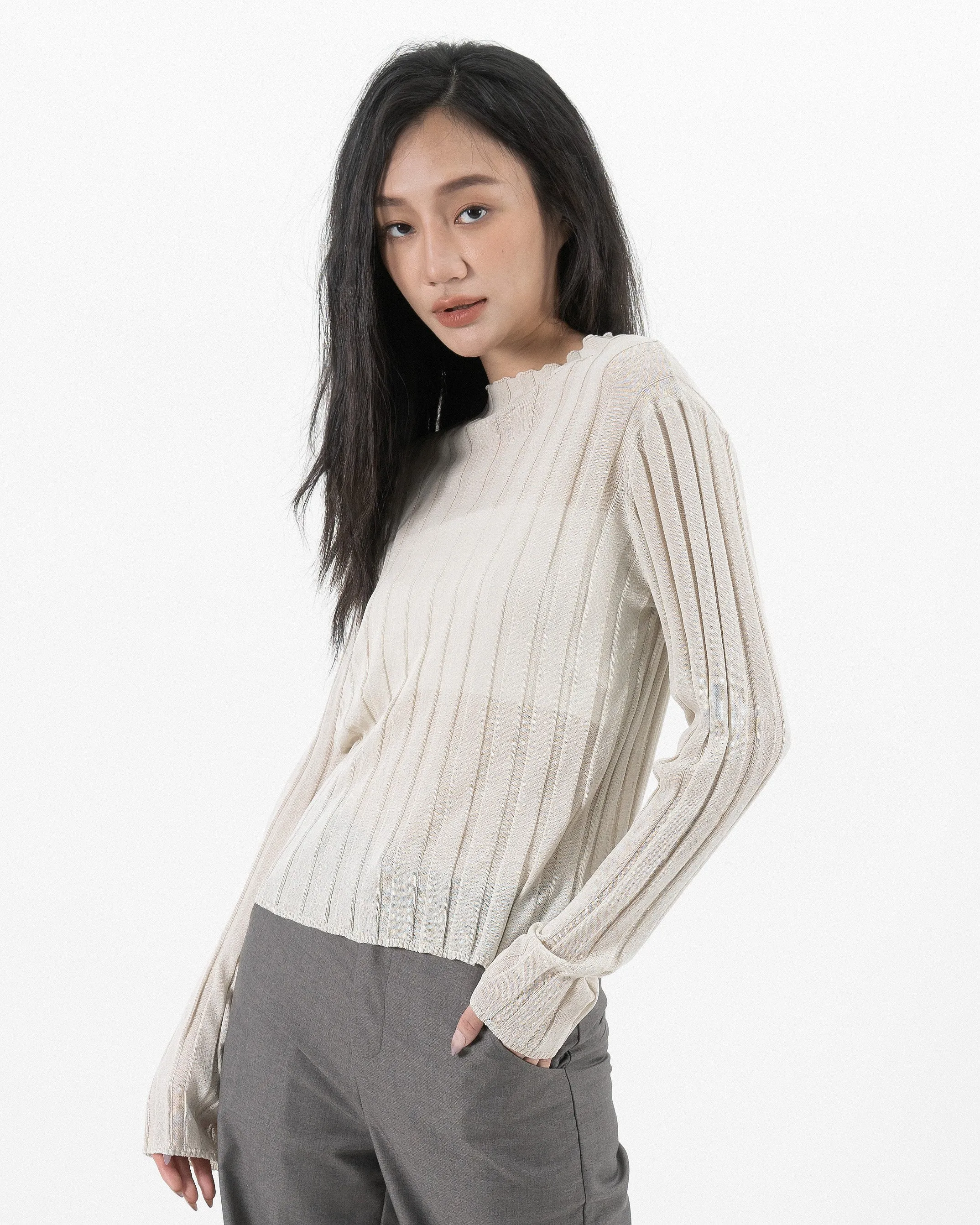 Turtleneck Sheer Ribbed Knit Top (Beige)