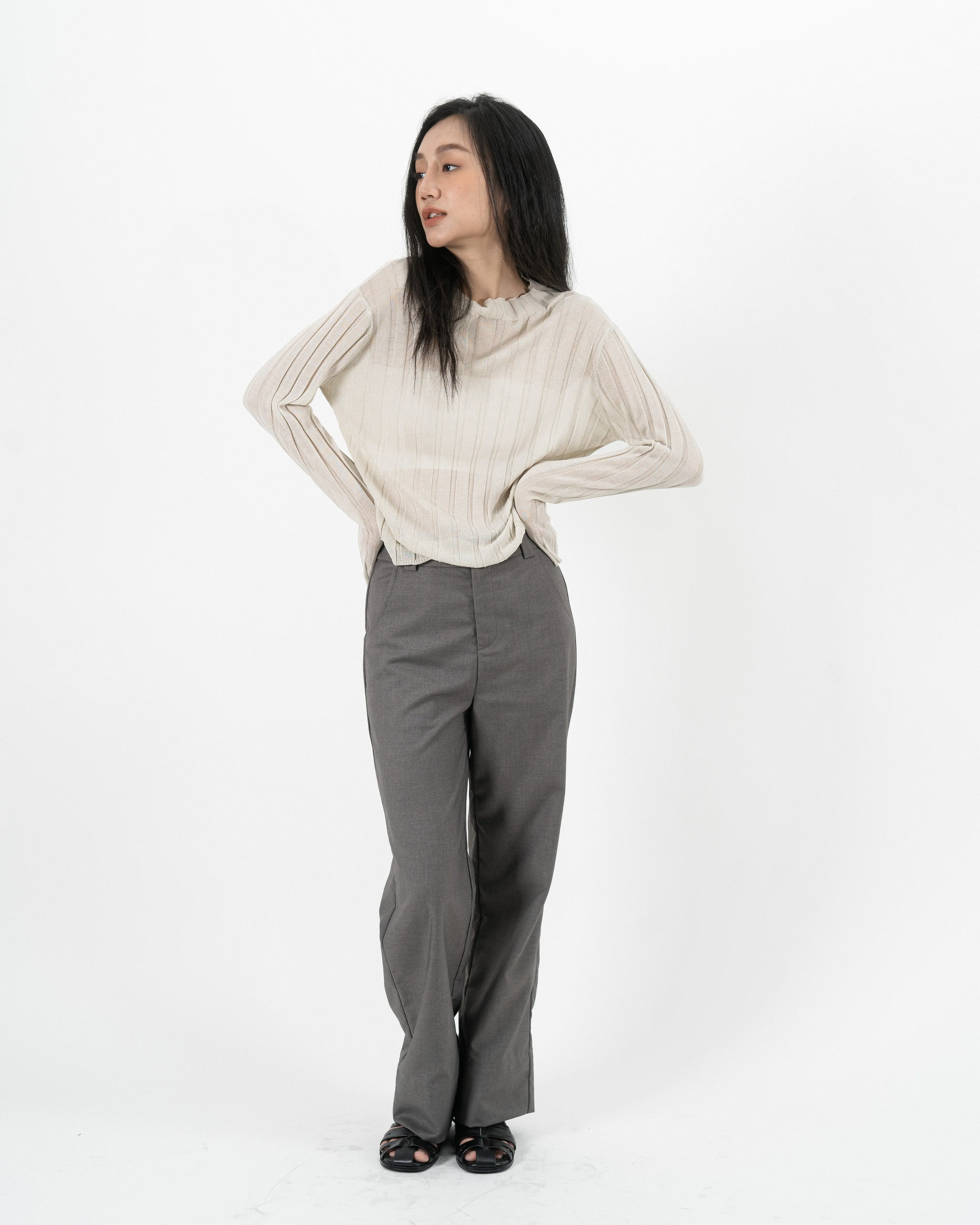Turtleneck Sheer Ribbed Knit Top (Beige)